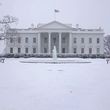 snow covered white house lawn