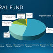 pie graph of budgeted funds
