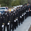 line of firefighters