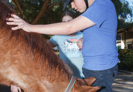 Joel Rosas with horse