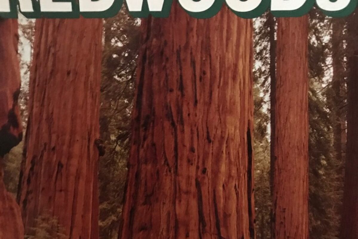 magazine%20cover%20with%20Redwoods