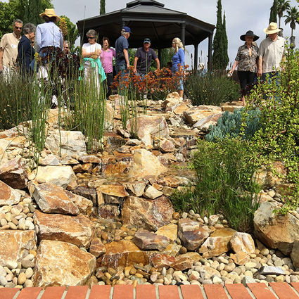 Fallbrook Garden Club S Home Garden Tour Impresses Village News